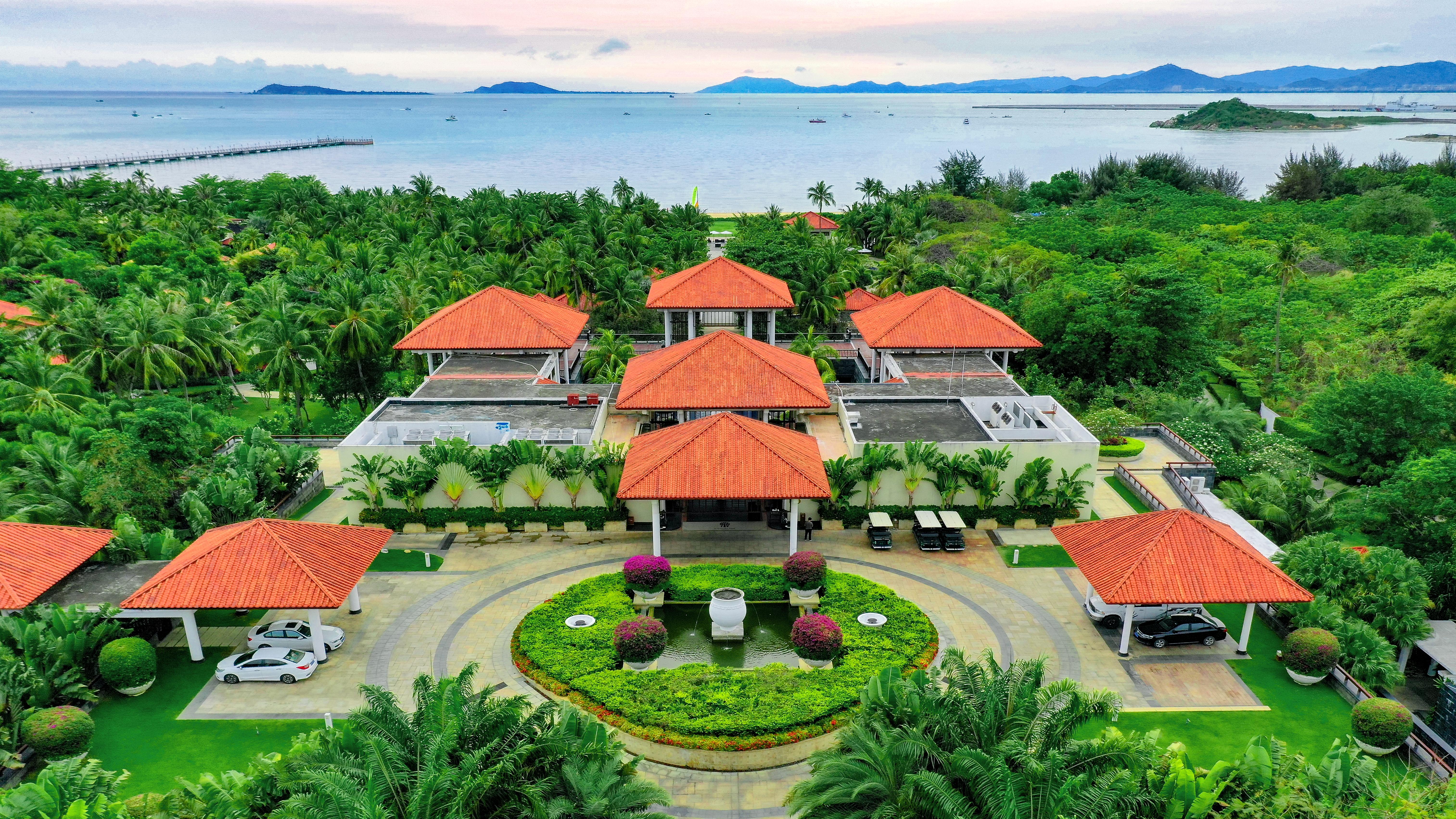 Banyan Tree