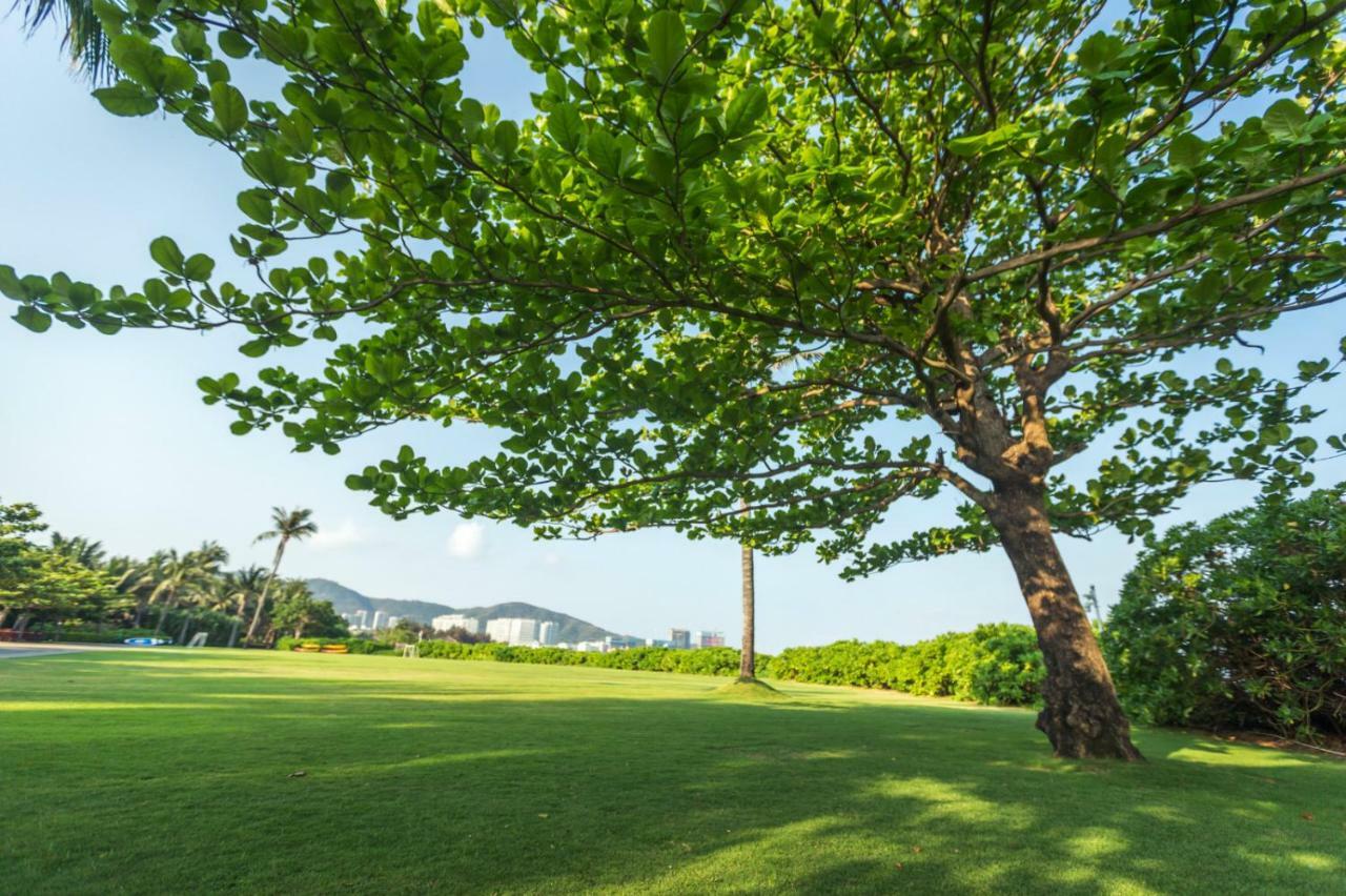 Banyan Tree วิลล่า *